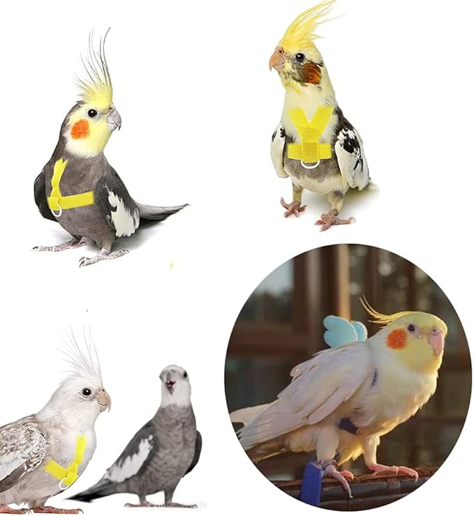 Birds Adjustable Harness and Leash, Parrot Outdoor Flying Training Traction Rope Straps with Cute Wing for Small Animal, Parrots, Pigeons, Bird Flight Vest, Pet Training Leash(Pink,S)