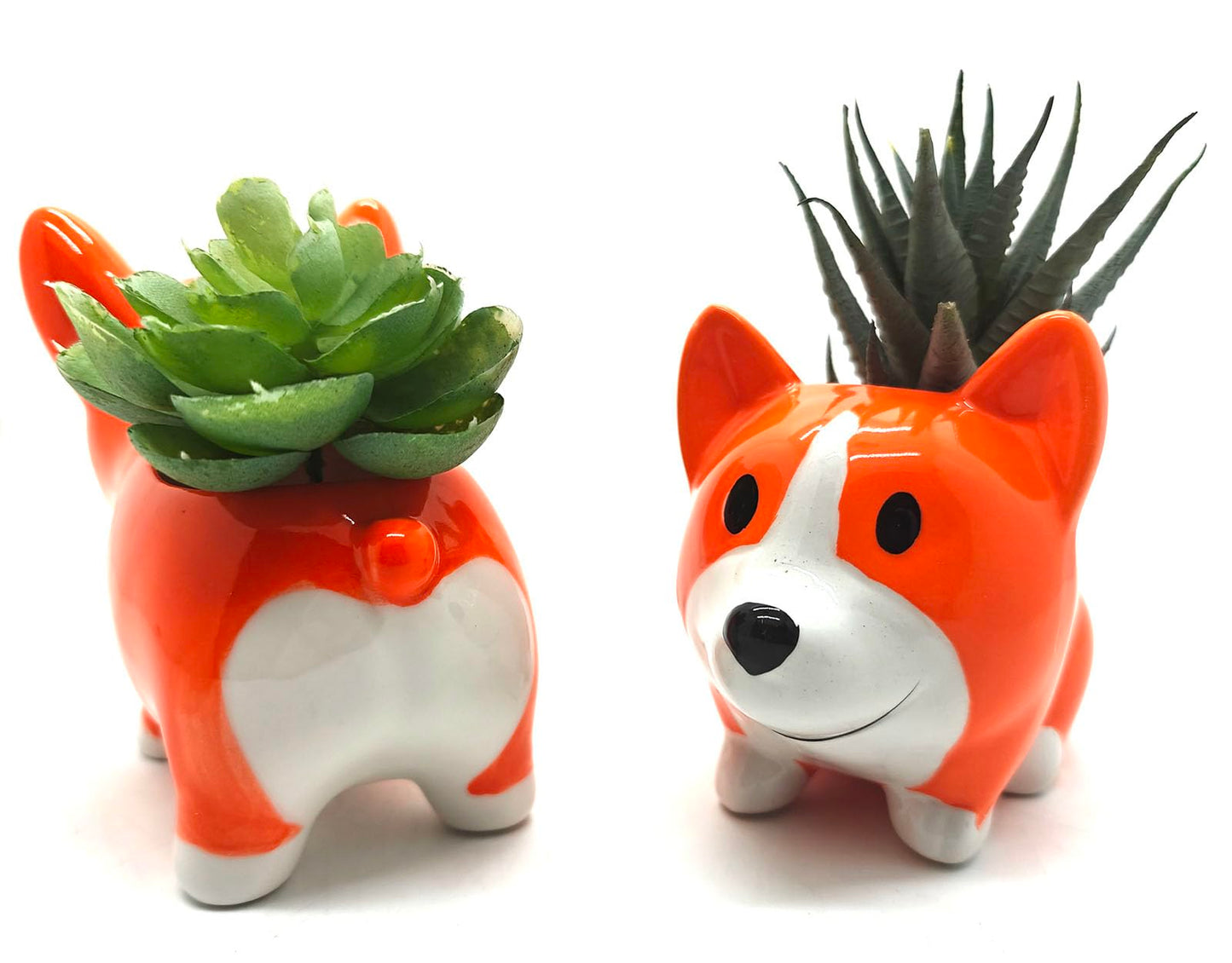 EONXNGAGY Set of 2 Corgi Butt Planter Pot Dog Succulent Pots with Drainage Indoor/Outdoor Ceramic Animal Planter Cute Cactus/Bonsai Small Flower Pots for Home Dog Garden Decor Office Desk Decoration
