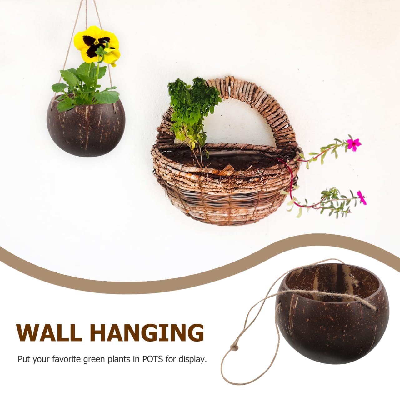 GANAZONO Coconut Shell Hanging Planter with Rope - Natural Indoor & Outdoor Hanging Pot for Orchids and Small Plants Eco-Friendly Round Coconut Planters for Home and Balcony Decor