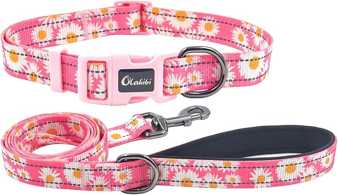 Dog Collar Leash Set, Floral Pattern, with Safety Reflective Strips, 5 ft Matching Leash, Neoprene Padded Handle, Adjustable 4 Sizes for Small Medium Large Dogs.(L, Pink Daisy)