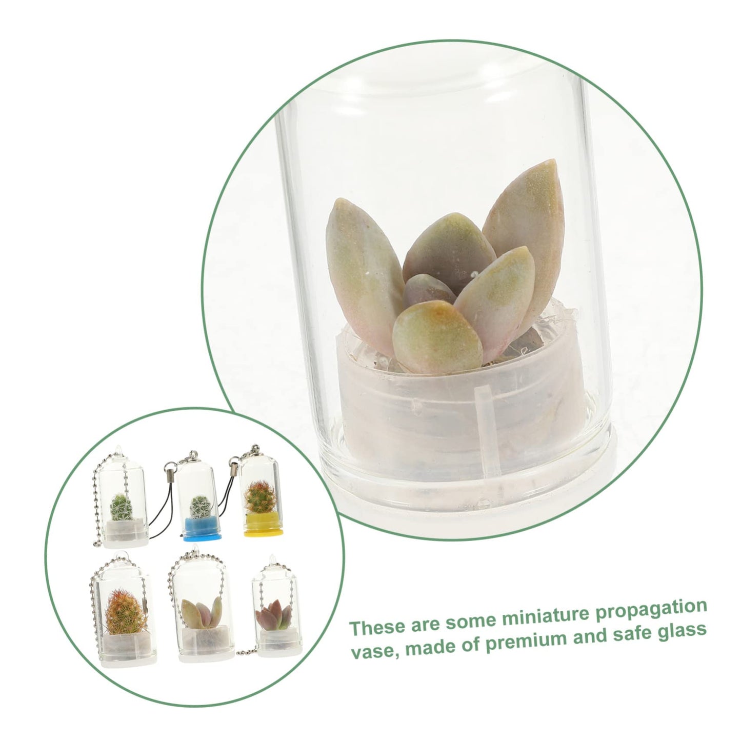 Garneck Cute Mini Glass Terrarium Jar Keychain Mini Plant Holder for Air Plant Decorative Vase for Backpacks
