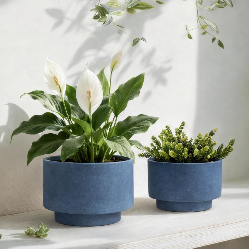 YBX YIBOXUAN Succulent Pots, 8 Inch + 6 Inch Plant Pots for Plants with Drainage Hole, Indoor Outdoor Ceramic Planter, Set of 2 Round Flower Pots for Succulent and Plants, Blue
