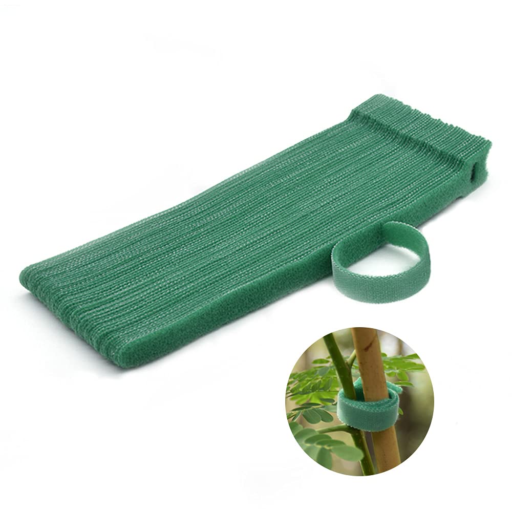 Garden Hook＆Loop Plant Cable Ties, 200 Pcs Adjustable Garden Nylon Ties for Supporting Plant and Vines, Multi-Functional Ties (200 Pcs, 8 Inch, Green)