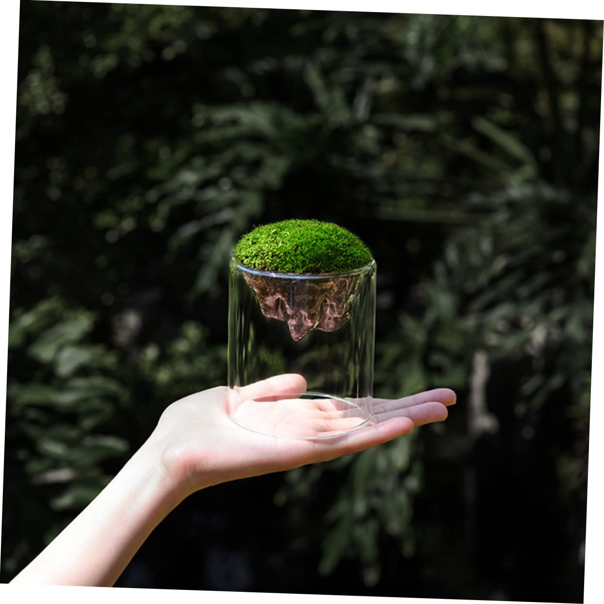 BESPORTBLE DIY Micro Landscape Glass Bottles 2 Pack Moss Plant Terrariums Elegant Decor for Home