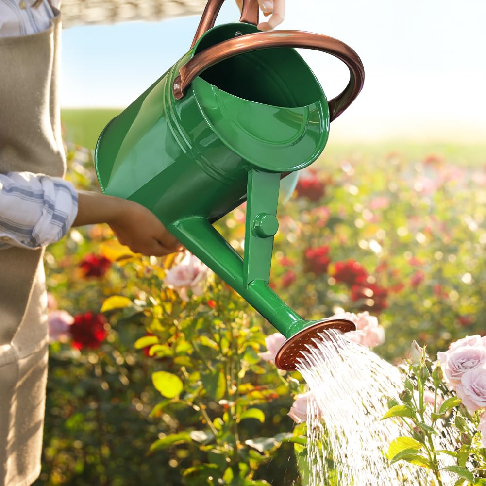 Megawodar 1 Gallon Metal Watering Can with Removable Spout, Nice Galvanized Steel Water Can for Indoor and Outdoor Plants (House Plants)