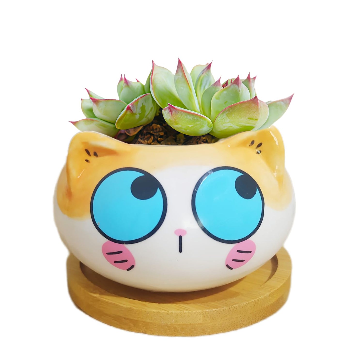 Cuteforyou Cute 3.5 Inches Indoor Cartoon Animal Cat Shaped Ceramic Succulent Cactus Flower Plant Pots with Bamboo Tray-Plant Not Included (Blue Eyes)