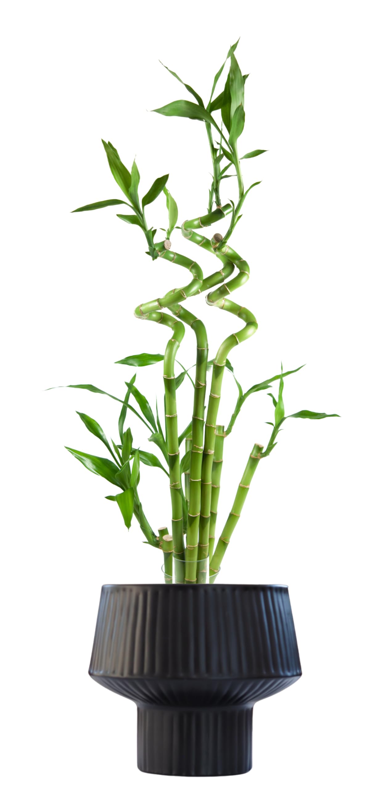 Wide Top Modern Handmade Metal Indoor Planter with Unique Shape, Vertical Grooved Design and Anti-Scratch Pads, Rust-Resistant Finish that is Sustainable Non-Plastic Pot Recyclable Metal Vase (Black)