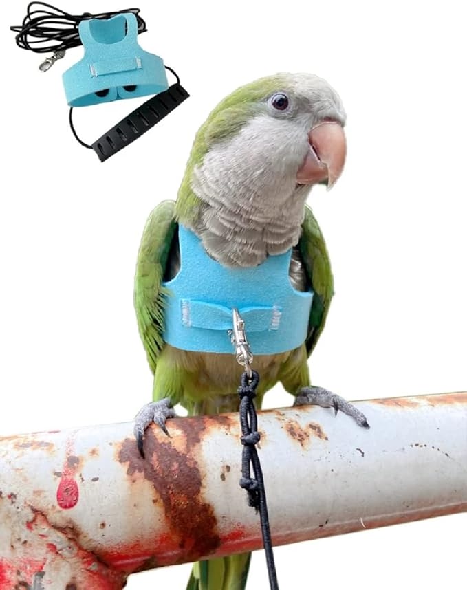 Bird Flight Harness Vest Parrot Flight Suit with Leash for Parakeets Cockatiels Conures Budgies, Bird Flying Clothes with Rope and Handle for Outdoor Activities Training (Medium,Blue)