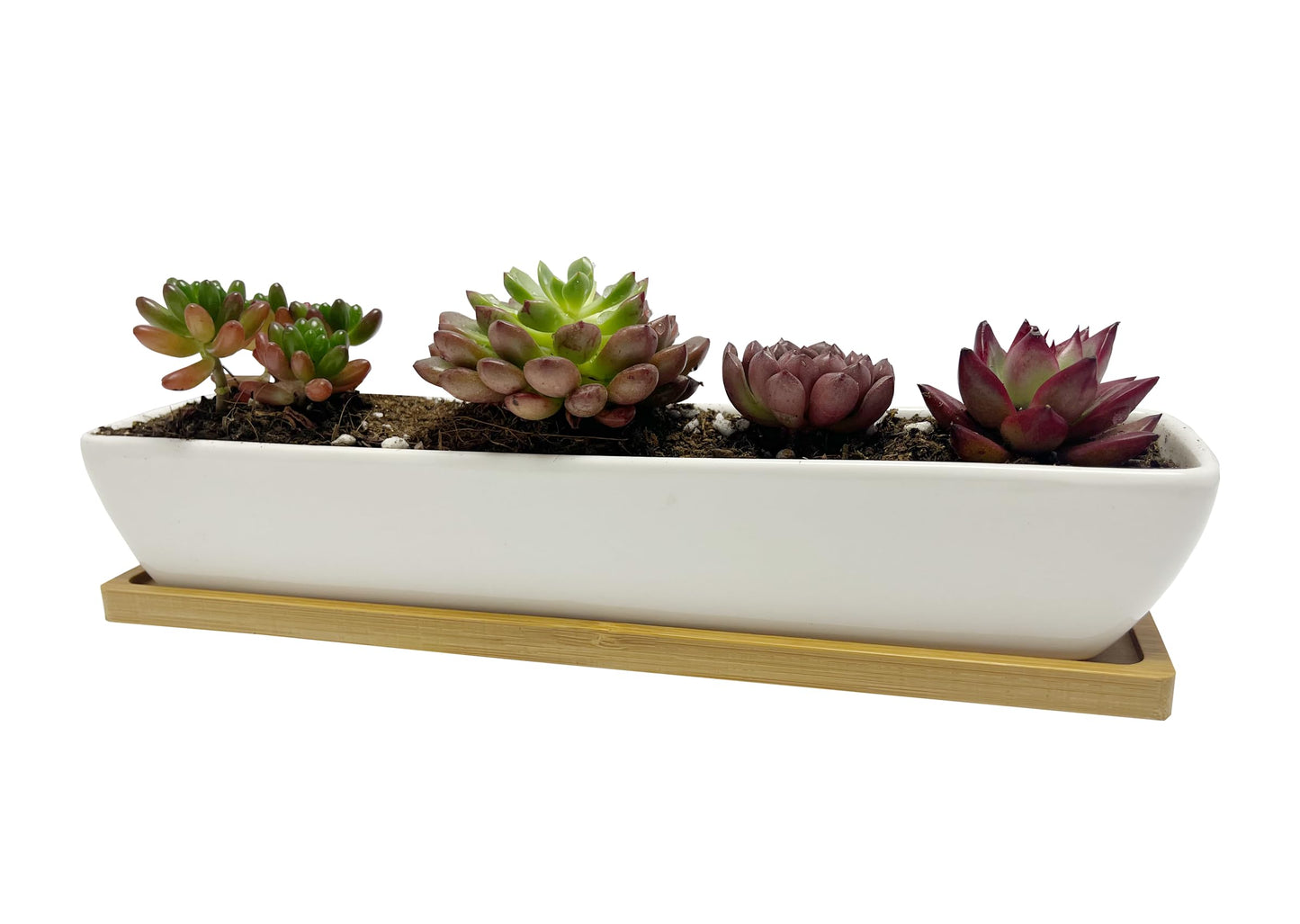Kipokalor Rectangular Succulent Planter Pot,Two Set of 11.1x2.36x1.77inch Long Rectangular Modern Minimalist White Ceramic with Saucer for Office,Desk,Window. (Bamboo Saucer, Two Set)