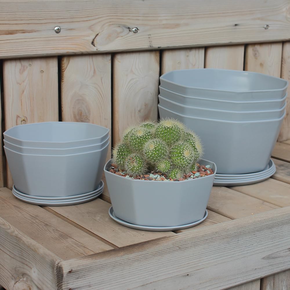 BangQiao 8 Pack 8.00 inch and 5.90 inch Gray Plastic Shallow Plant Pot, Octagon Bowl Planter Container with Pot Tray for Succulents, Cactus