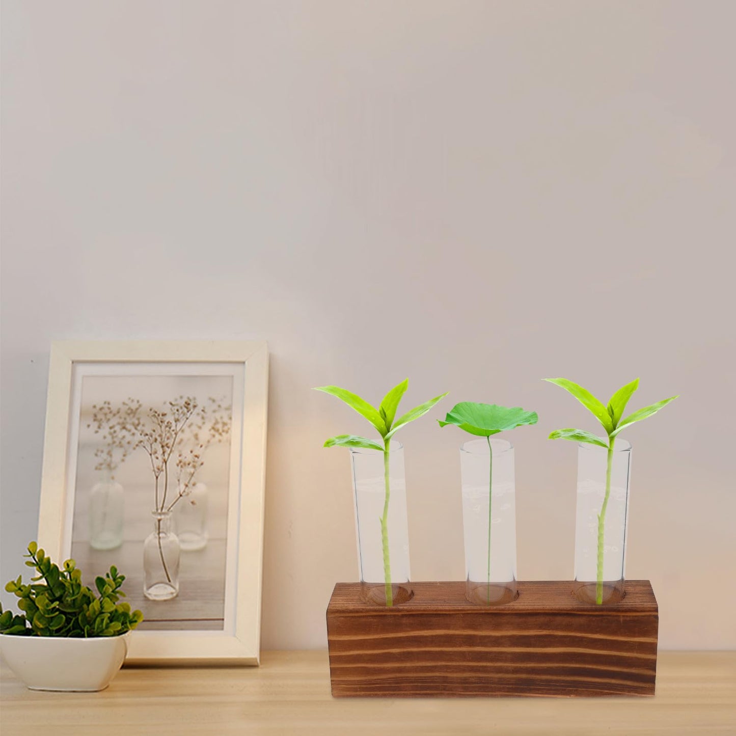 Unomor Glass Plant Propagation Station with 3-Hole Charcoal Wood Base and Test Tubes, Glass Vase for Indoor Hydroponic Plants and Desktop Terrarium Decoration