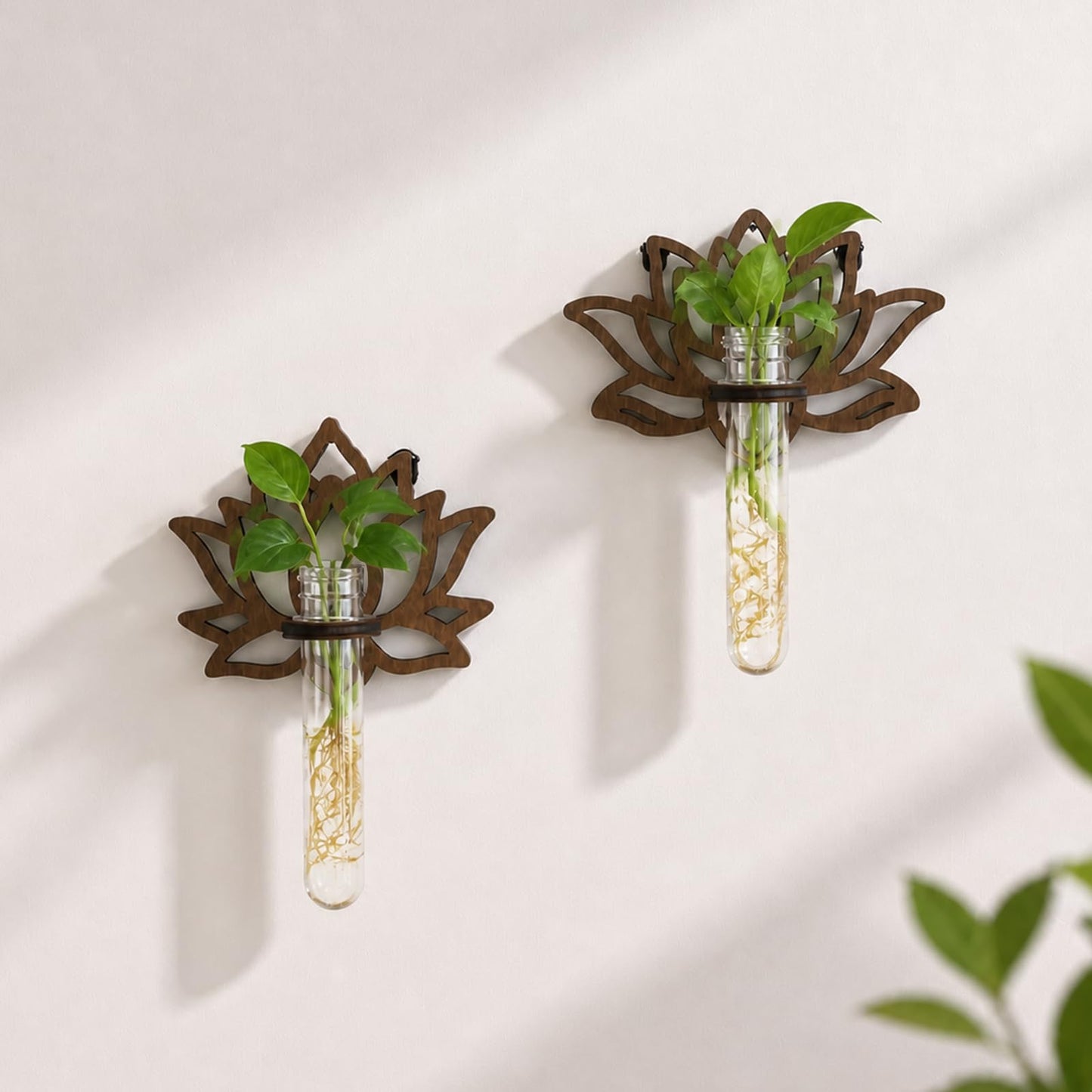 Artilady Plant Propagation Station 2 Pack Wall Hanging Plant Terrarium Holder with Test Tube Wood Window Planter Indoor Decor for Living Room Bedroom Kitchen (Lotus)