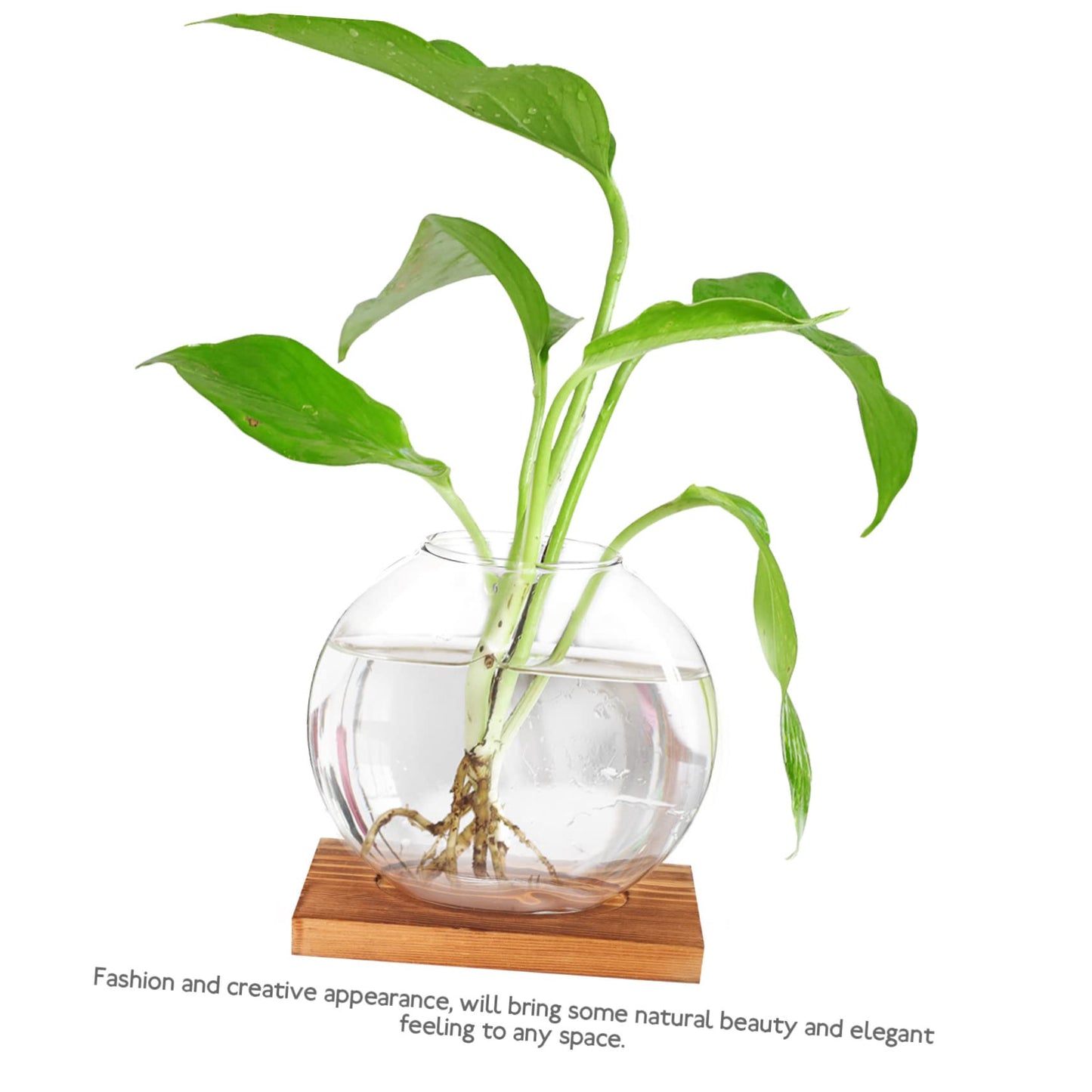 ABOOFAN Hydroponic Plant Vase with Base Glass Propagation Bottle for Desktop Decoration Transparent Terrarium Planter for Home Office Wedding Modern Tabletop Adornment