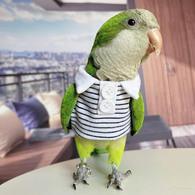 Bird Diaper Flight Suit Summer Clothes Cosplay Photo Prop for Parrots Lovebird Parakeet Cockatiel Small Animals Apparel (Green-cheeked Conure)