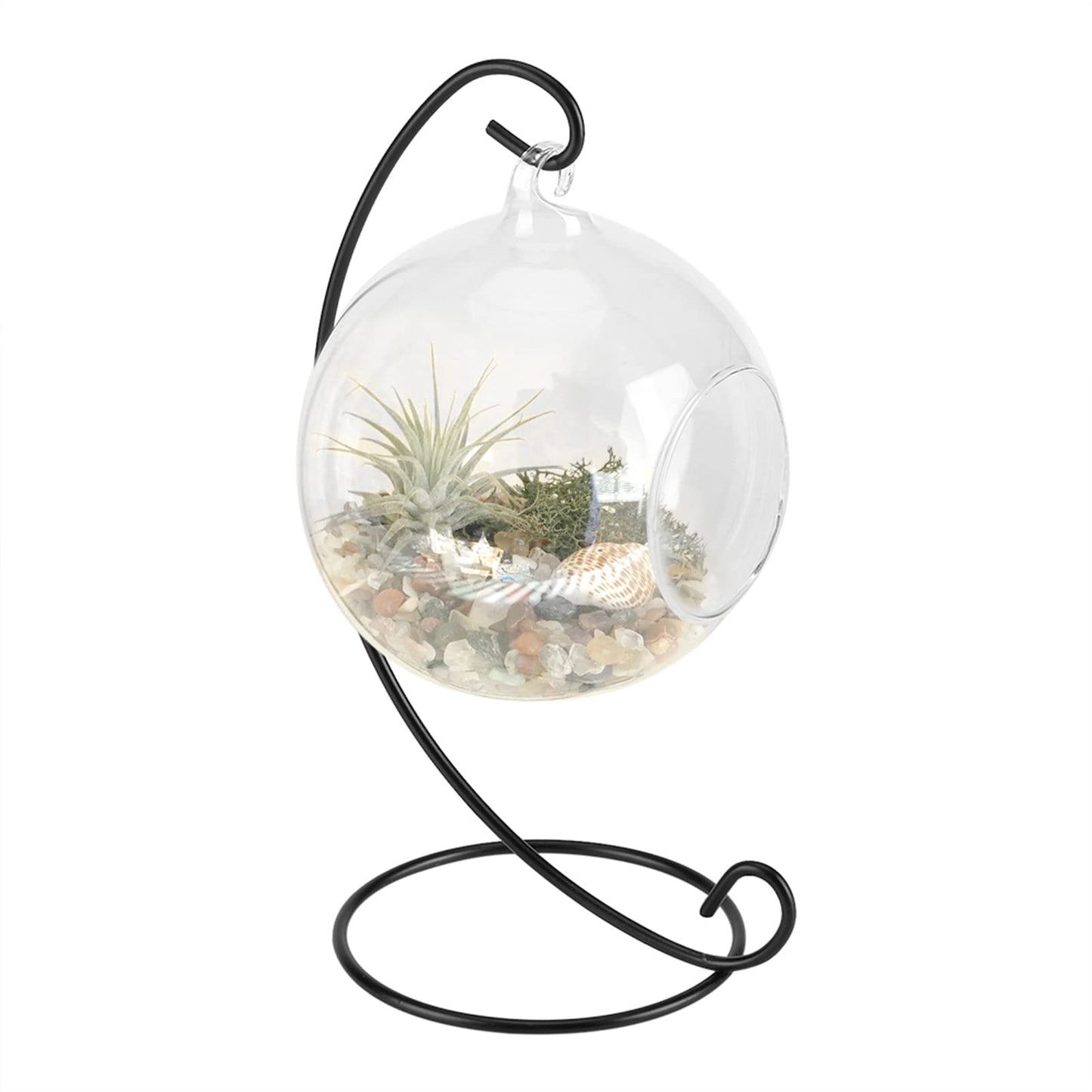 Mtlavishness Hanging Glass Vase Large Terrarium with Frame for Air Plants Succulent