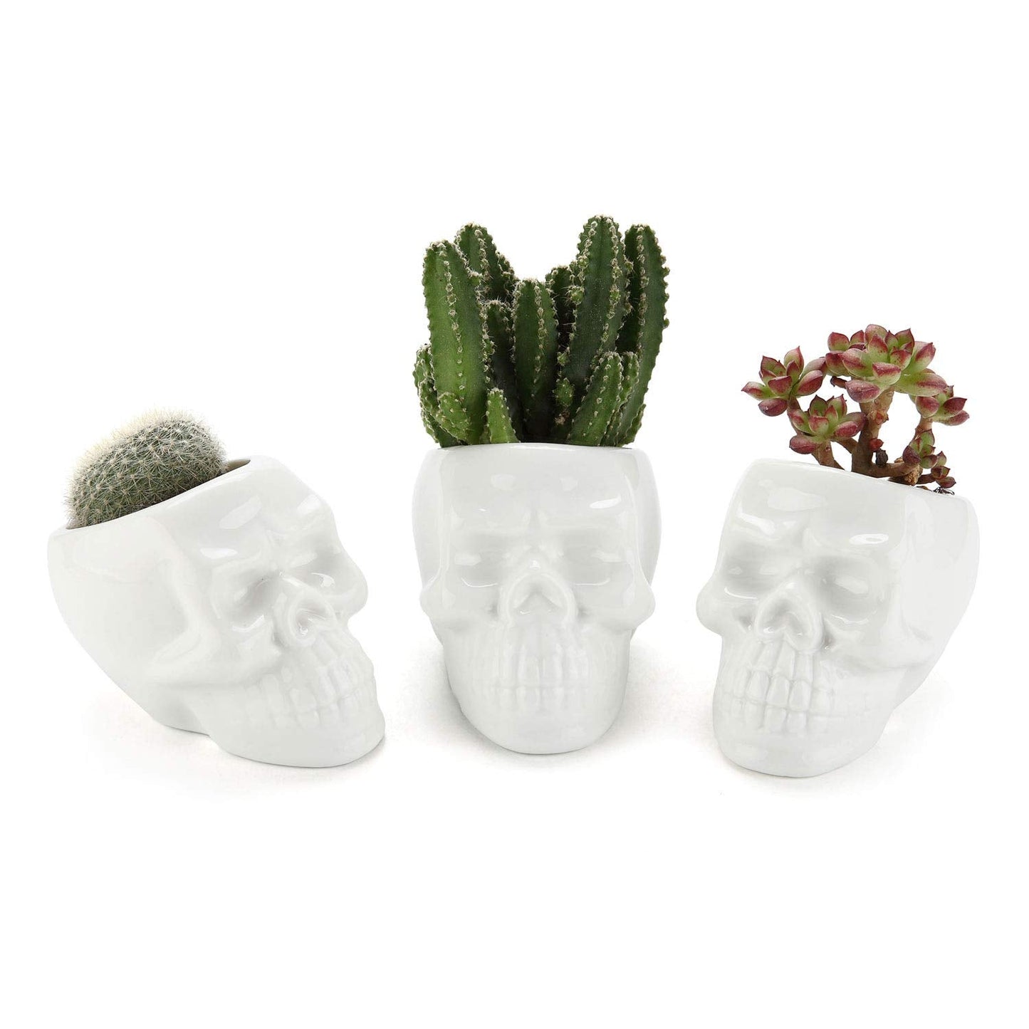 T4U Skull Succulent Planter Pots Set of 3, Gothic Caramic Planter, Creative Plant Lover Gifts for Christmas Birthday House Warming, Cactus Plant Pot Pen Pencil Holder for Home Office Decor, White