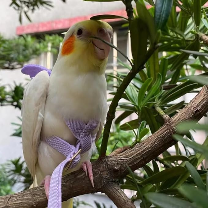 Bird Harness Parrot Leash -Adjustable Outdoor Flying Kit for Parrot Budgie Lovebird Cockatiel Macaw Parakeet (Pink,S)