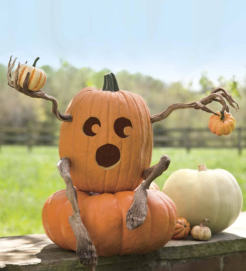 Plow & Hearth Set of 4 Bendable Pumpkin Arms and Legs | Twisting Vines for Halloween Pumpkin Carving DIY Crafts for Kids | Includes 2 arms and 2 Legs | Outdoor & Indoor Halloween Decorations