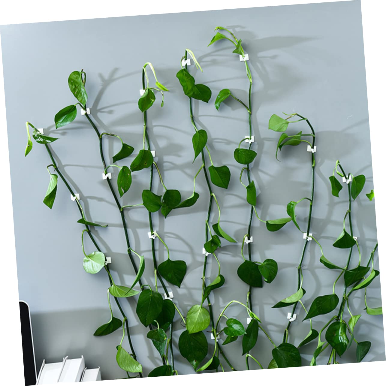 MERRYHAPY 120pcs Plant Wall Sticky Hooks for Climbing Plants Self-Adhesive Vine Clips Easy Installation Fixators for Home Decor