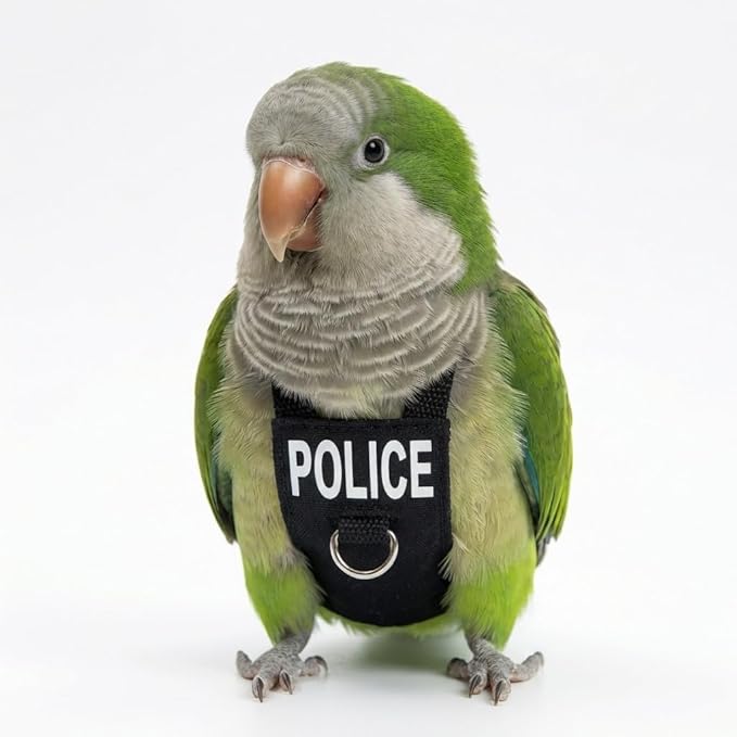 Bird Diaper Flight Suit, Cute Cosplay Parrot Clothes, Easy-to-Wear Washable Nappy, Durable Metal Ring Harness for Cockatiel, Conure, African Grey, Parakeet Outdoor Flying (Without Leash,XS)