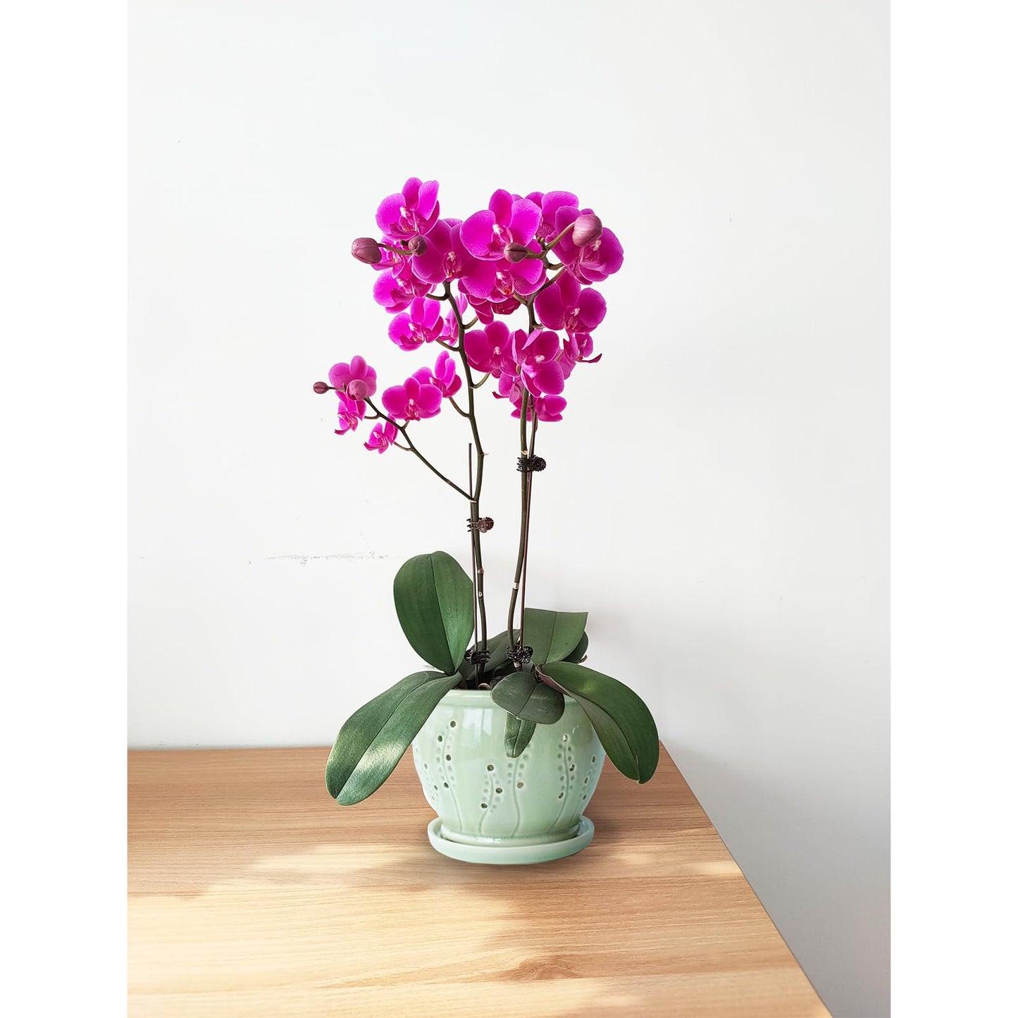 Ceramic Orchid Pot 6.3 Inch, Orchid Pots with Holes, Large Plant Pot for Repotting, Ventilation Holes Breathable for Roots, Durable Ice-Cracked Glaze Ceramic Planter Pot (Grass Green)