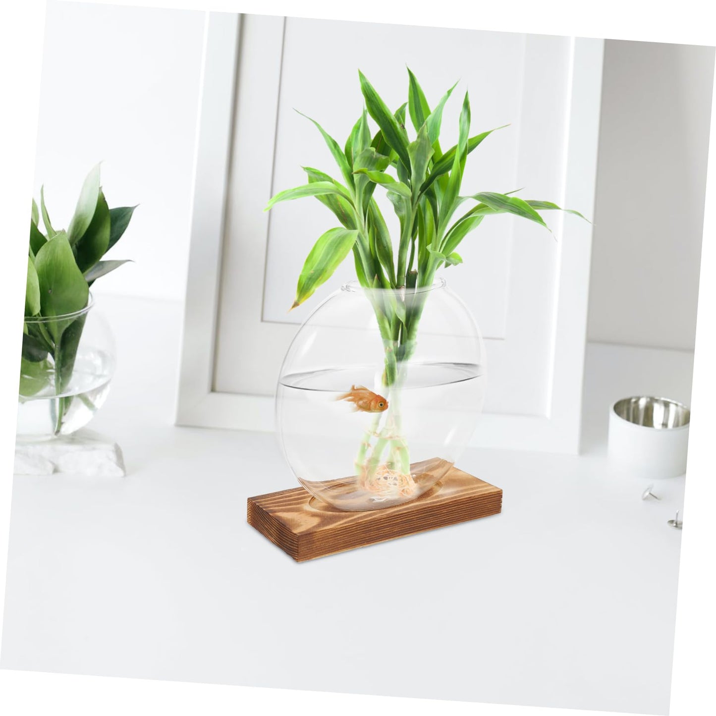 BESTonZON 1piece Modern Plant Decor Hydroponic Vase Glass Terrarium Jar Terrarium Container Creative Propagation Vase Plant Window
