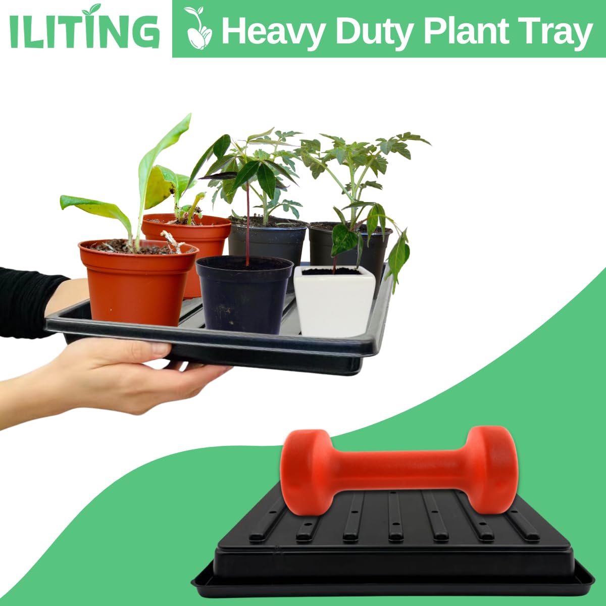 ILITING Plant Growing Trays for Seedlings Microgreen Seed Starter Shallow Plants Tray Standard 1010 Tray with Drain Holes 10 Pack Black 10.7 x 10.7 inches Square Trays