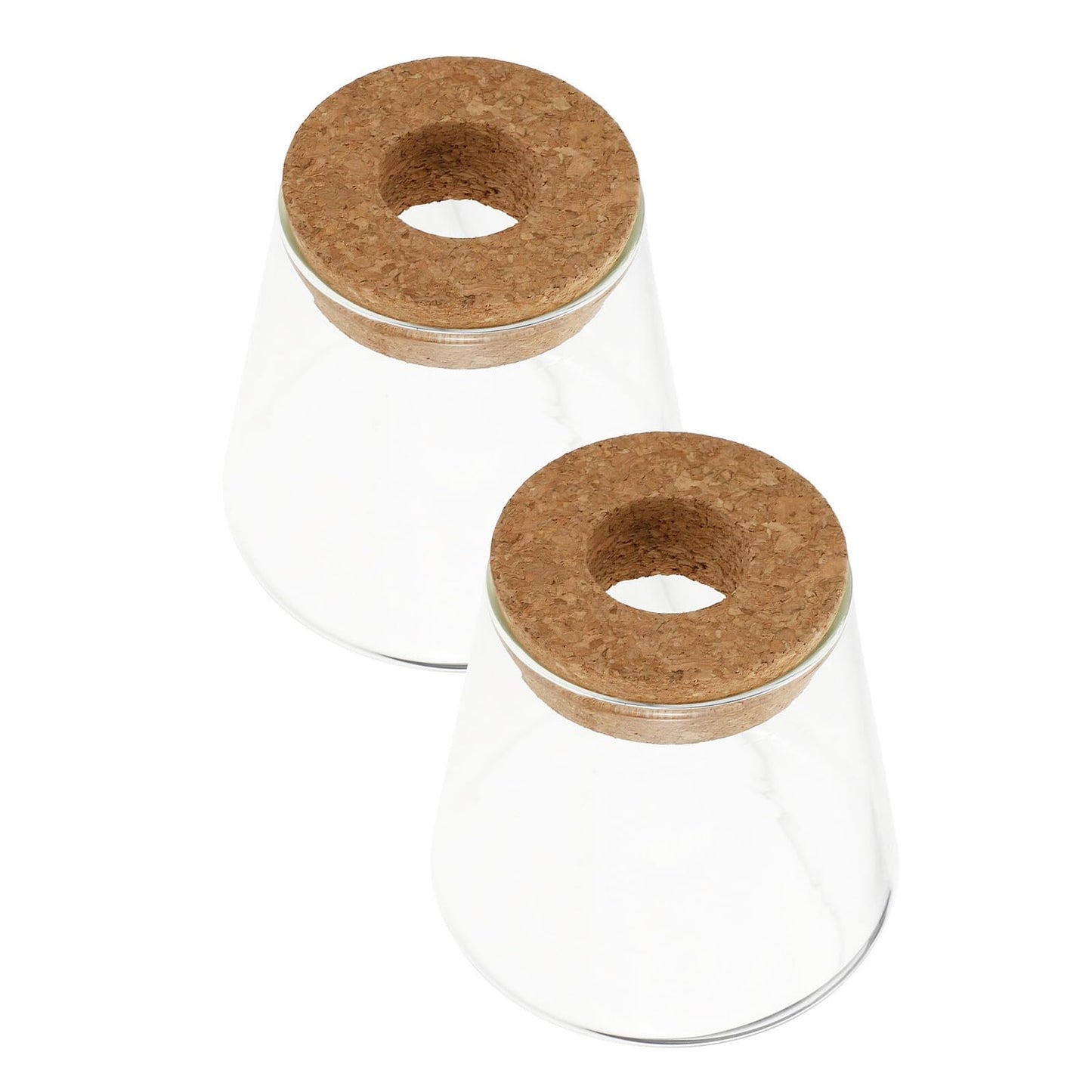 Homoyoyo 2pcs Glass Hydroponic Plants Vase Small Terrarium Flower Pots Desktop Water Planting Decoration for Home and Office