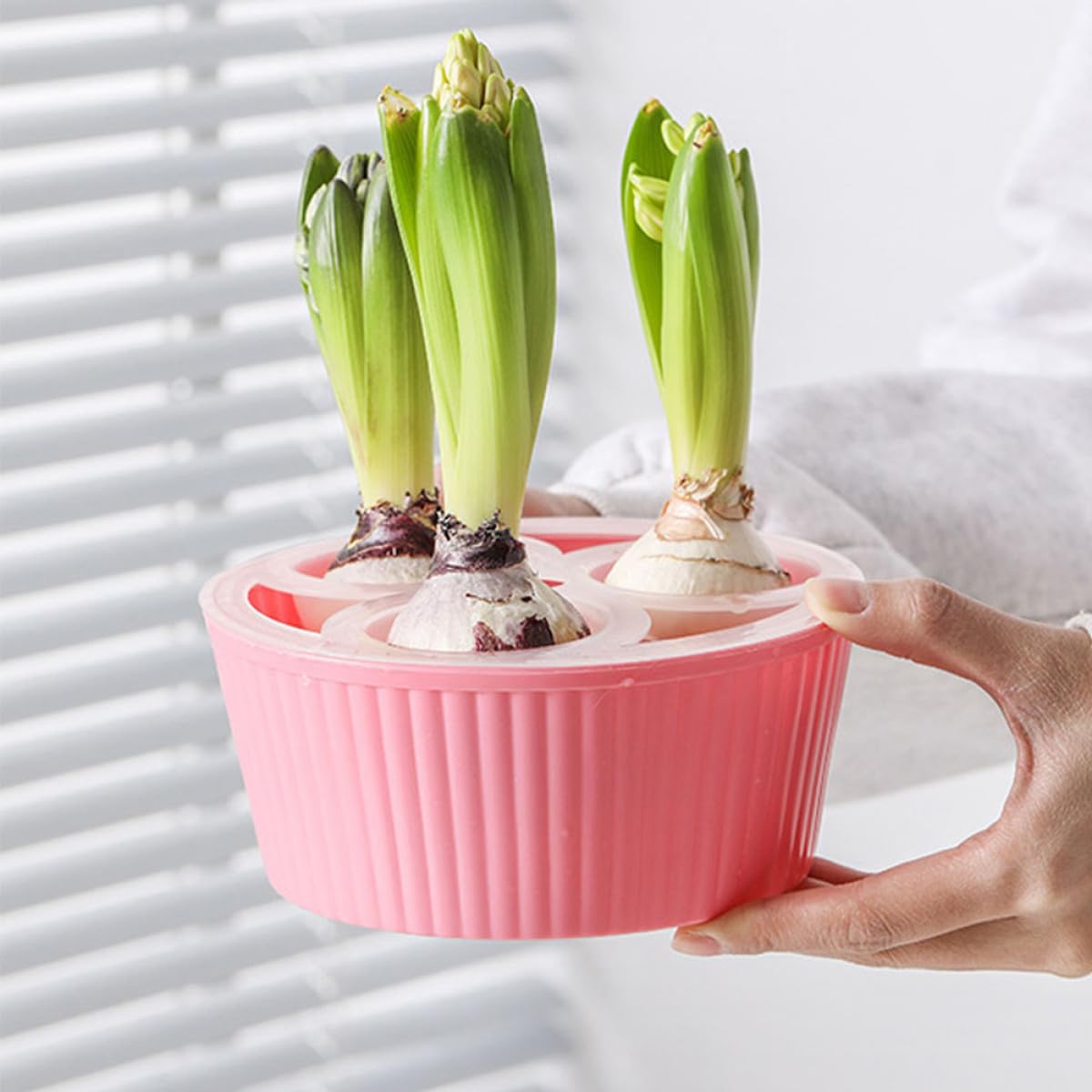 MOBUTOFU 2Pcs Net Cups 3-Hole Hydroponic Bulbs Planter Pot Small Root Control Plastic Flower Pots Heavy Duty for Tulip Daffodils Narcissus Indoor Water Planting and Succulent Gardening Plastic