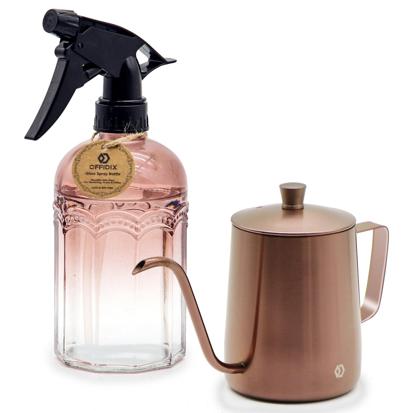 OFFIDIX Watering Can for Indoor Plants Long Spout Metal Stainless Steel 21 oz Small Watering Can with 14 oz Glass Plant Mister Spray Bottle for Plants Bonsai