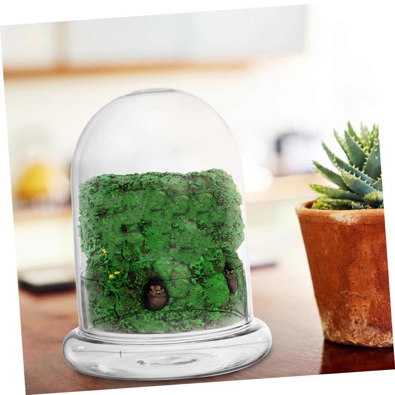 Totority 2pcs Glass Ecological Terrarium Bottle for DIY Micro Landscape Display Decorative Container for Desk Plants and Miniature Gardens