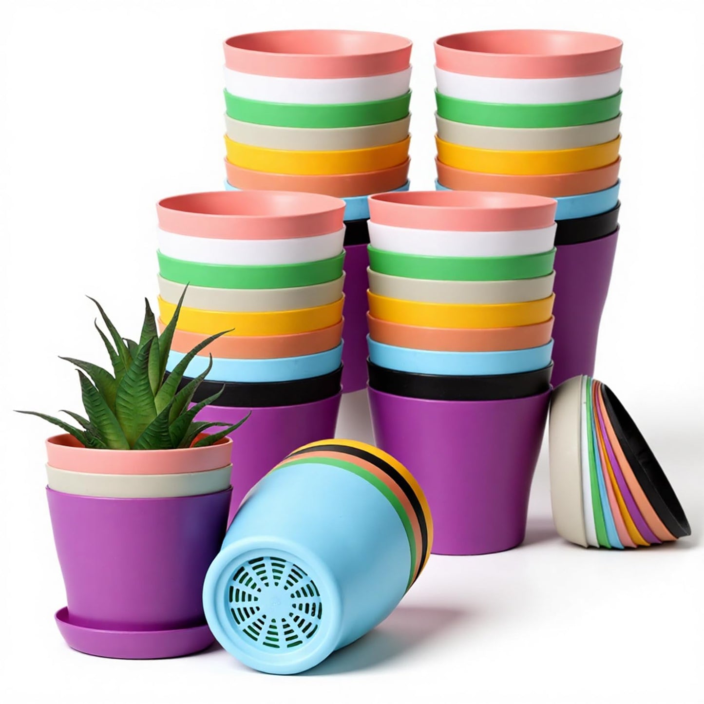 PercyEffie 50 Pack 4 Inch Plant Pots, Bulk Small Plastic Planters with Drainage Holes and Saucers Flower Pot for Flowers, Succulent, Cactus, Seed Starting Pots, Colorful