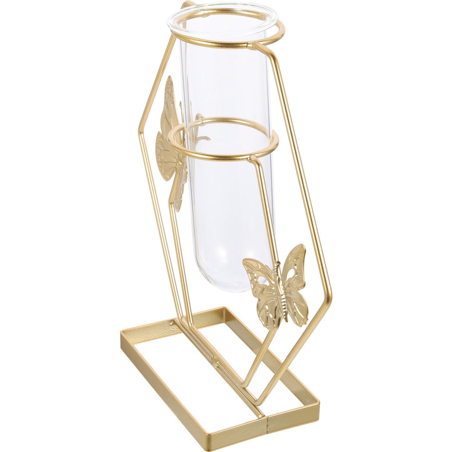 DECORNIJIA Metal Framed Glass Vase with Butterfly Pattern, Hexagonal Hydroponic Flower Pot for Desktop Decoration, Home Terrarium Plant Holder for Living Room Table