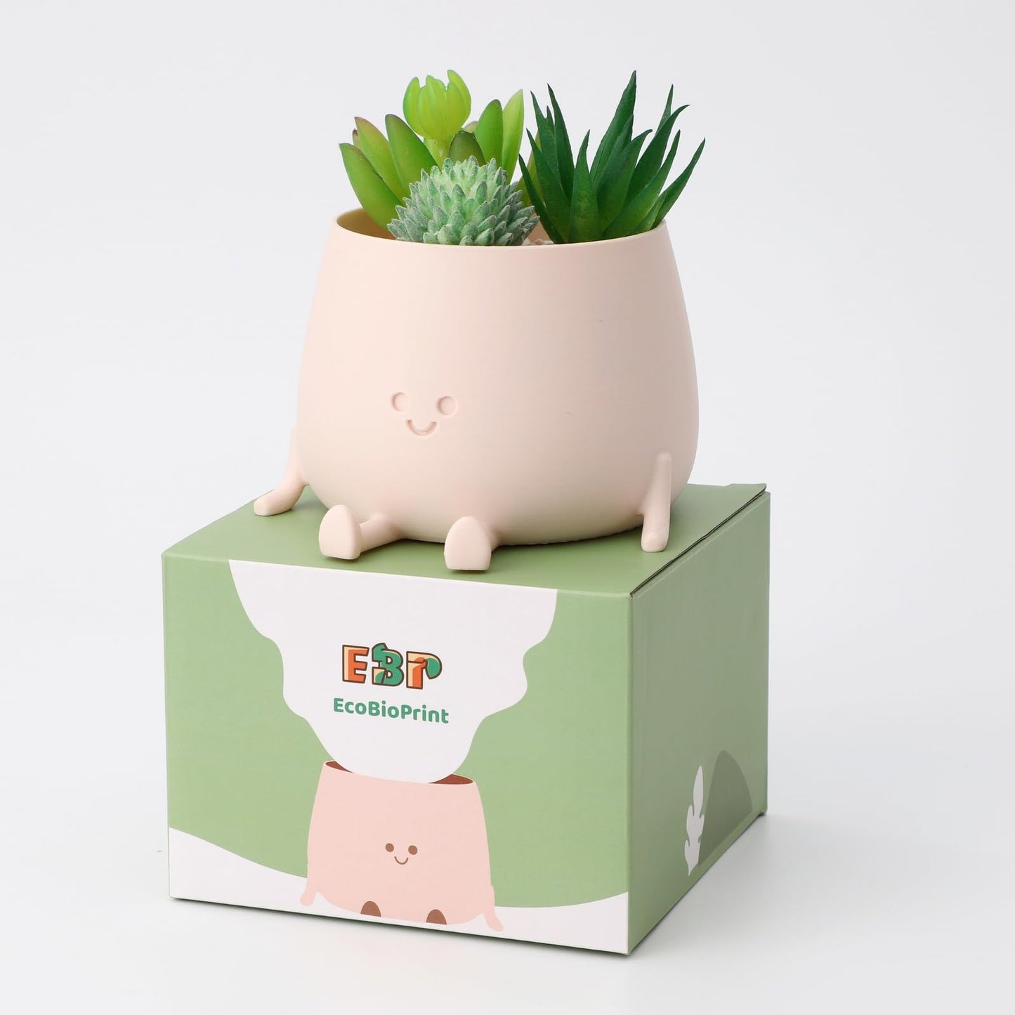 EcoBioPrint 3.5 Inch Cute Plant Pot - Plastic Funny Planter with Drainage Holes for Indoor Outdoor - Small Succulent Face Flower Pot - Cute Plant Gifts for Plant Lovers