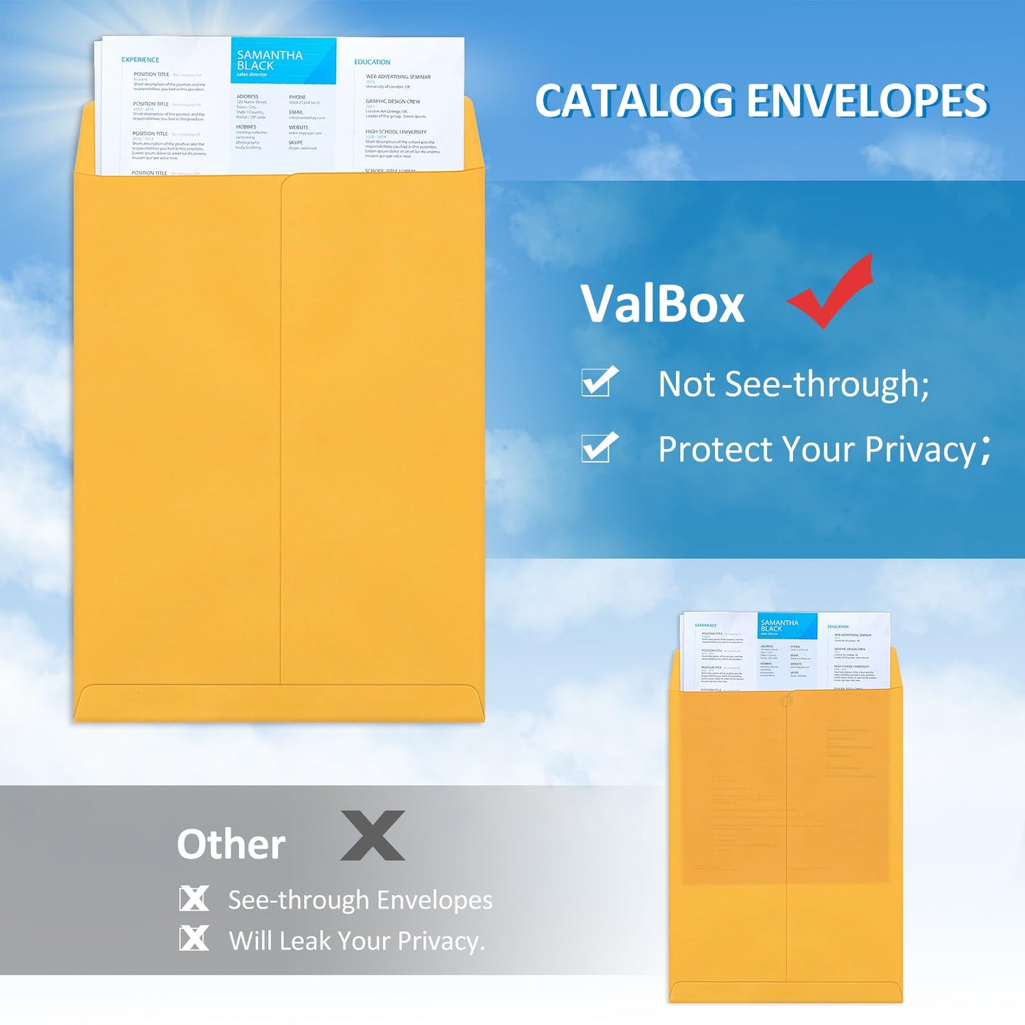 ValBox 9x12 Self Seal Security Catalog Envelopes 250 Packs Brown Kraft Envelopes with Peel and Seal Flap for Mailing, Organizing and Storage
