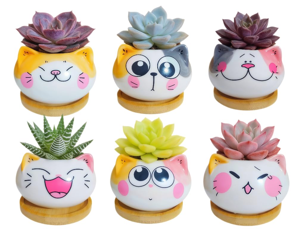 Cuteforyou Cute 3.5 Inches Indoor Cartoon Animal Cat Shaped Ceramic Succulent Cactus Flower Plant Pots with Bamboo Tray-Plant Not Included (6 Corlors)