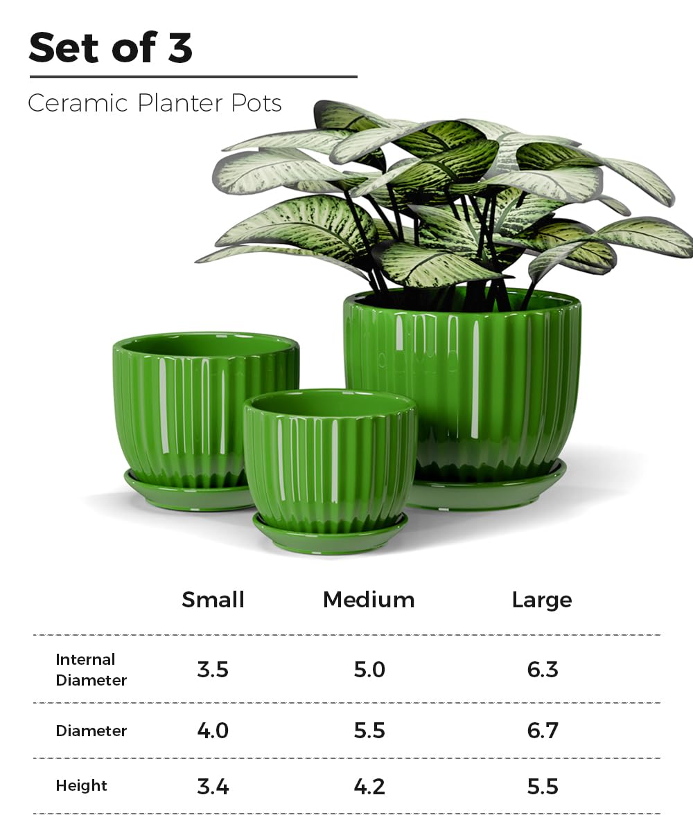 Ton Sin Ceramic Plant Pots,4"+5"+6" Inch,Green Flower Pots with Drainage Holes and Tray,Indoor Planters for Plants Pots,Home Office Decoration GIF for Plants,Succulent Pot Set of 3