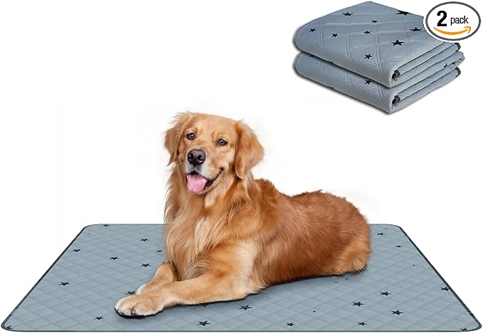 RIOUSSI Washable Pee Pads for Dogs, Reusable, Absorbent, Leakproof, Non Slip Pet Puppy Pads for Potty Training. Gray Stars, 36x72 Inch(2pack)