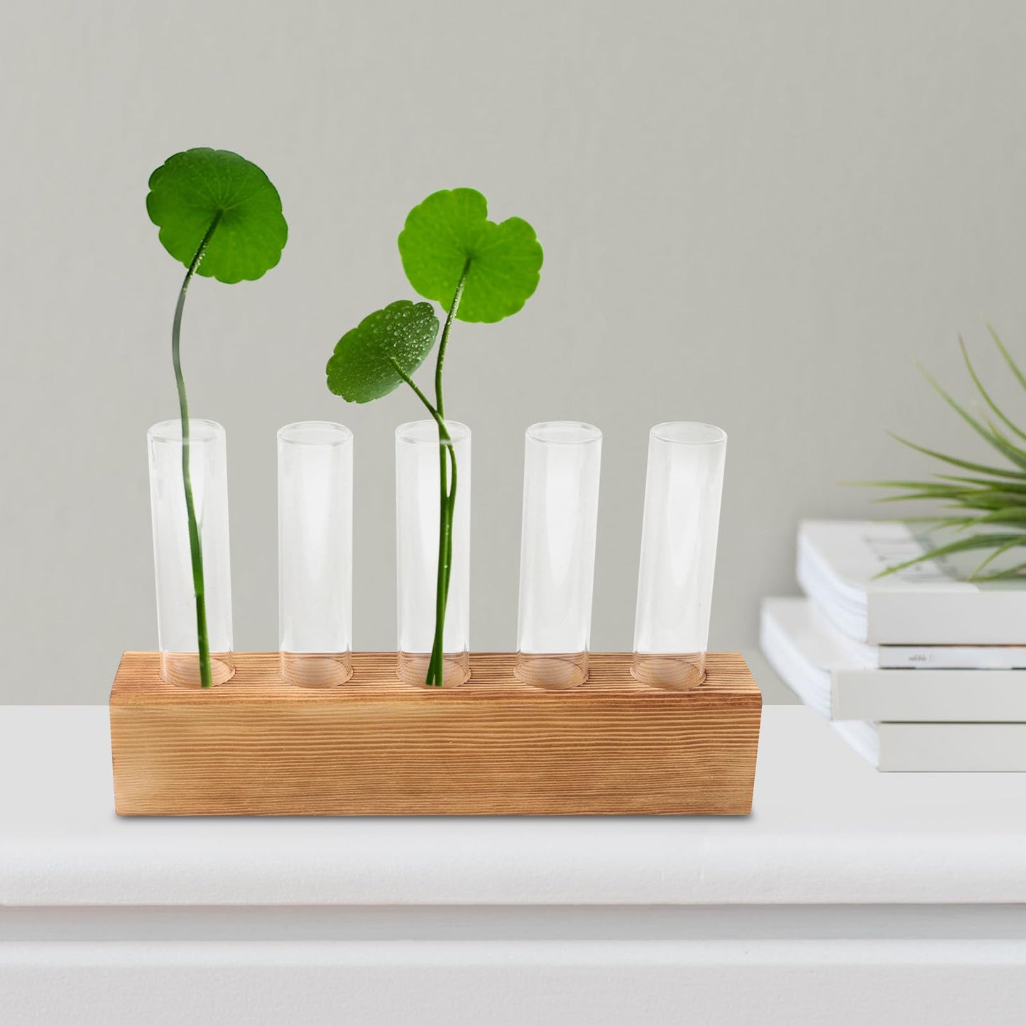 BESPORTBLE Desktop Hydroponic Glass Vase with 5-Hole Wooden Stand for Indoor Plant Propagation and Tabletop Terrarium Centerpiece