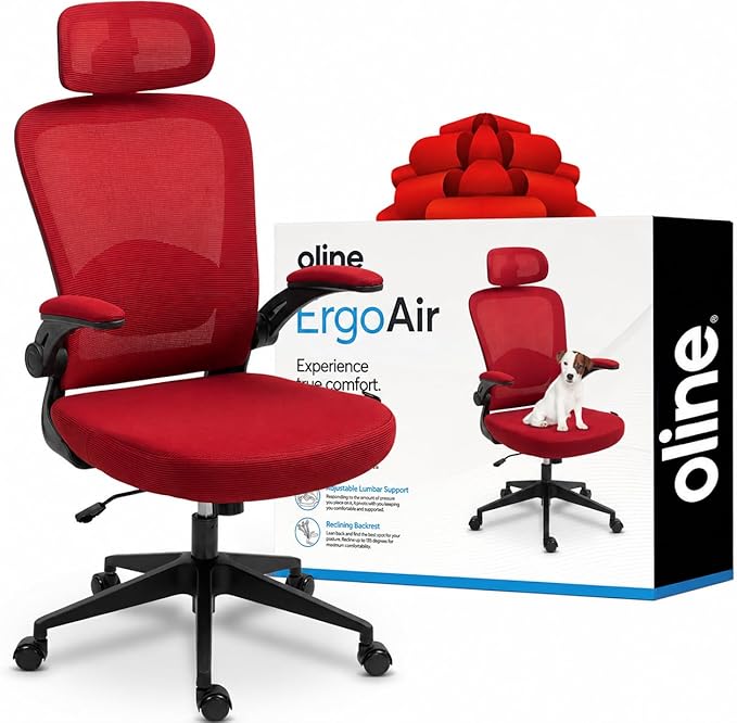 Oline ErgoAir Ergonomic Office Chair – Adjustable Lumbar Support, Flip-Up