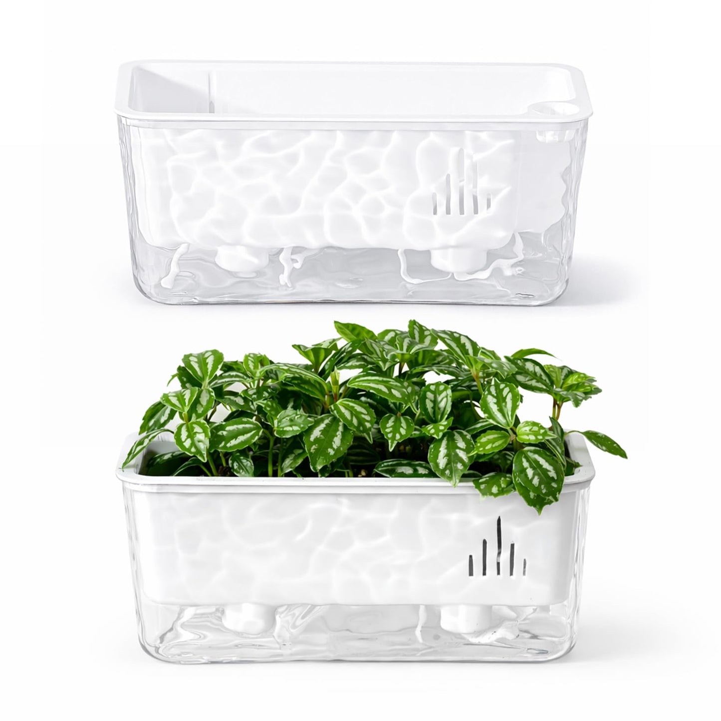 Self Watering Pots for Indoor Plans, 2 Packs Window Boxes Planters Rectangle Self Watering Planter 11 in Rectangular Clear Plant Pots Long Herb Windowsill Planter Flower Box Succulent Planters