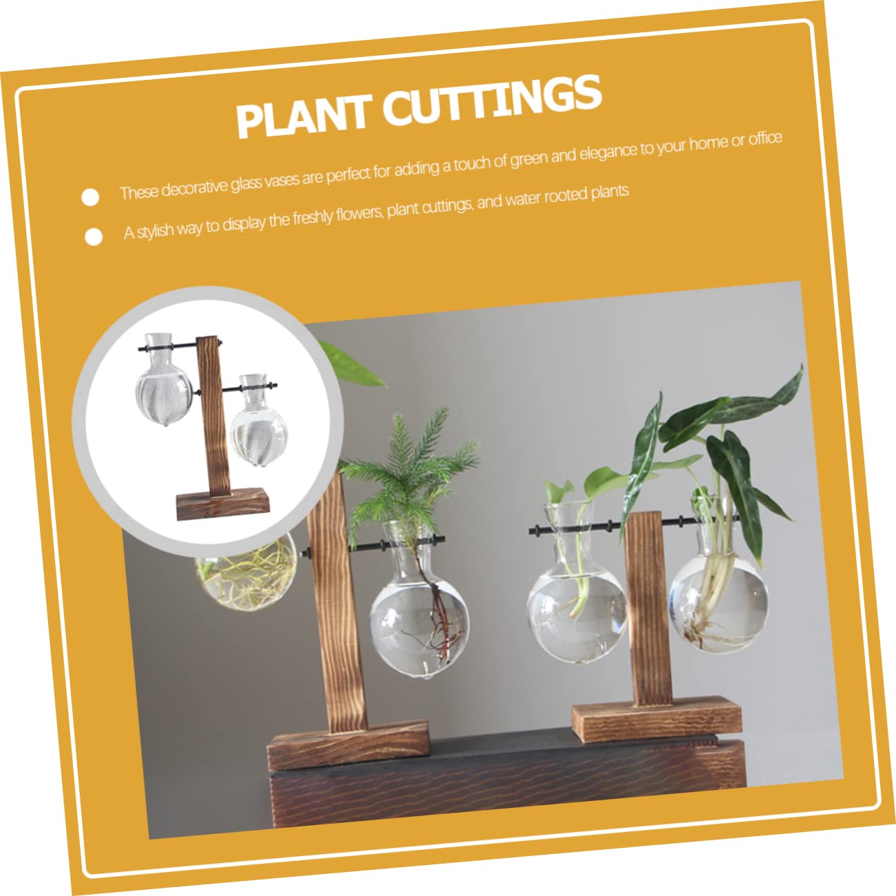 BESPORTBLE 1set Hydroponic Plant Vase Desktop Terrarium for Home Office Decoration Easy to Install Premium Glass for Floral Arrangement