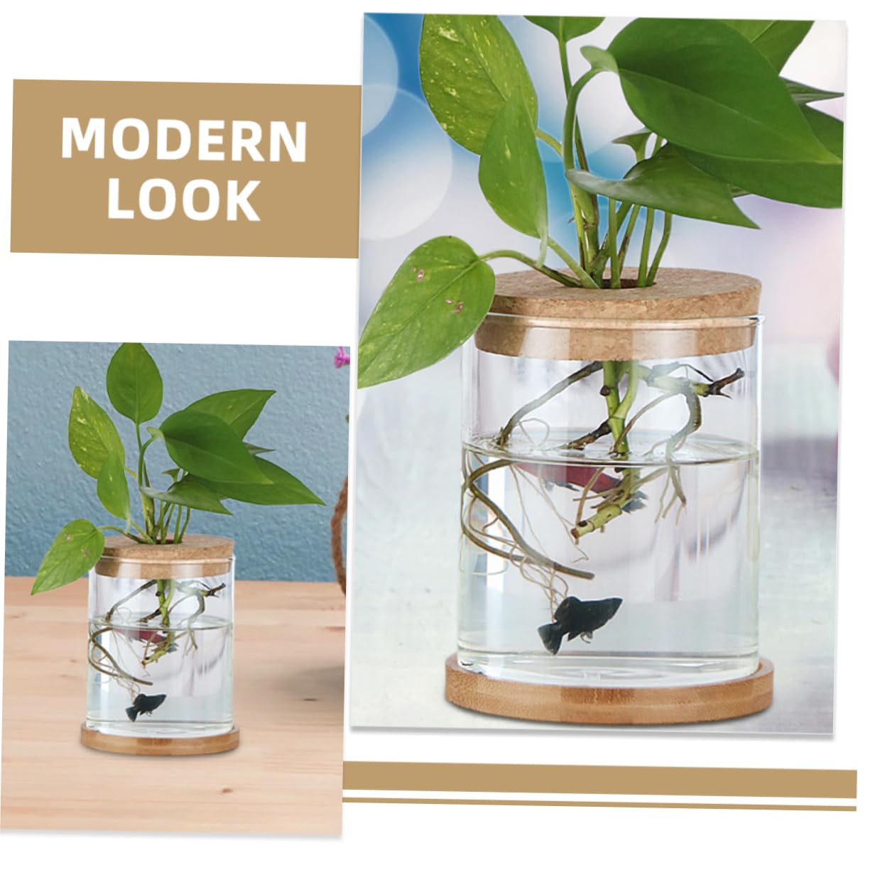 Cabilock 6Pcs Cork Lids for Hydroponic Vases Sustainable Transparent Glass Stoppers for Terrarium and Plant Propagation for Indoor Home Decor Elegant Micro Landscape Display