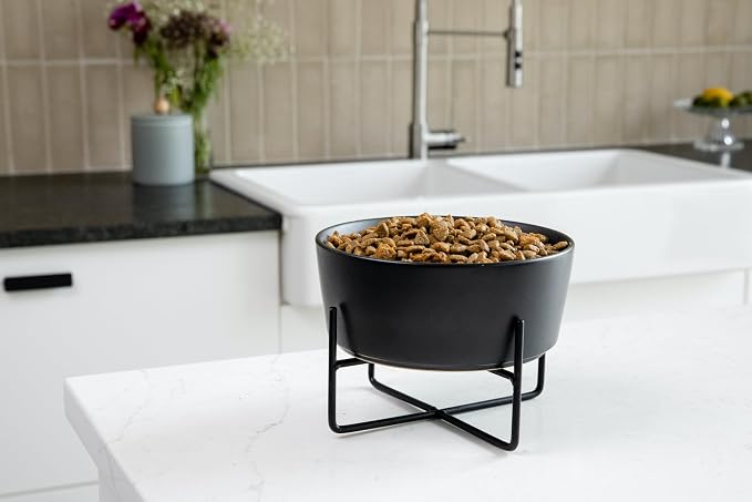 Waggo Simple Solid Dog Bowl and Dog Bowl Stand - Single Iron Stand with Single Ceramic Feeder or Water Bowl (Dolphin, Large)
