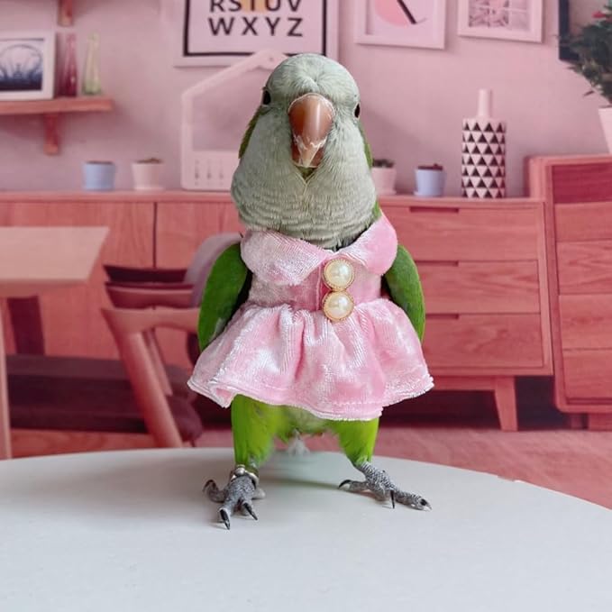 Bird Costume Bird Diaper Flight Suit Parrot Velvet Fleece Skirt Clothes Cosplay Photo Prop for Conure Lovebird Parakeet Cockatiel Macaw Small Animals Apparel (White,Small)