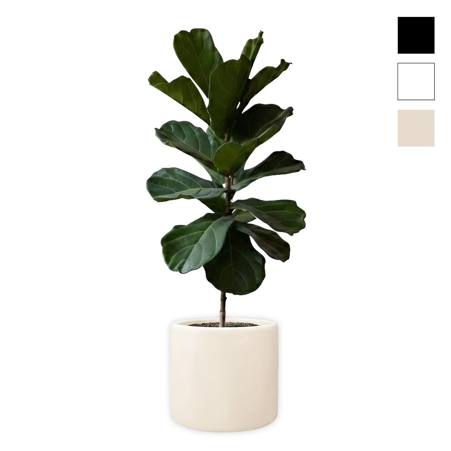 DEPLA LANE Lumero Fiberstone Cylinder Planter (14.0" Pot Opening x 15.7" D x 15.7" H) Smooth Finishes, Lightweight, Durable, UV Resistant, Minimalist Decor, Indoor Outdoor Plant Pot (XL, Cream White)
