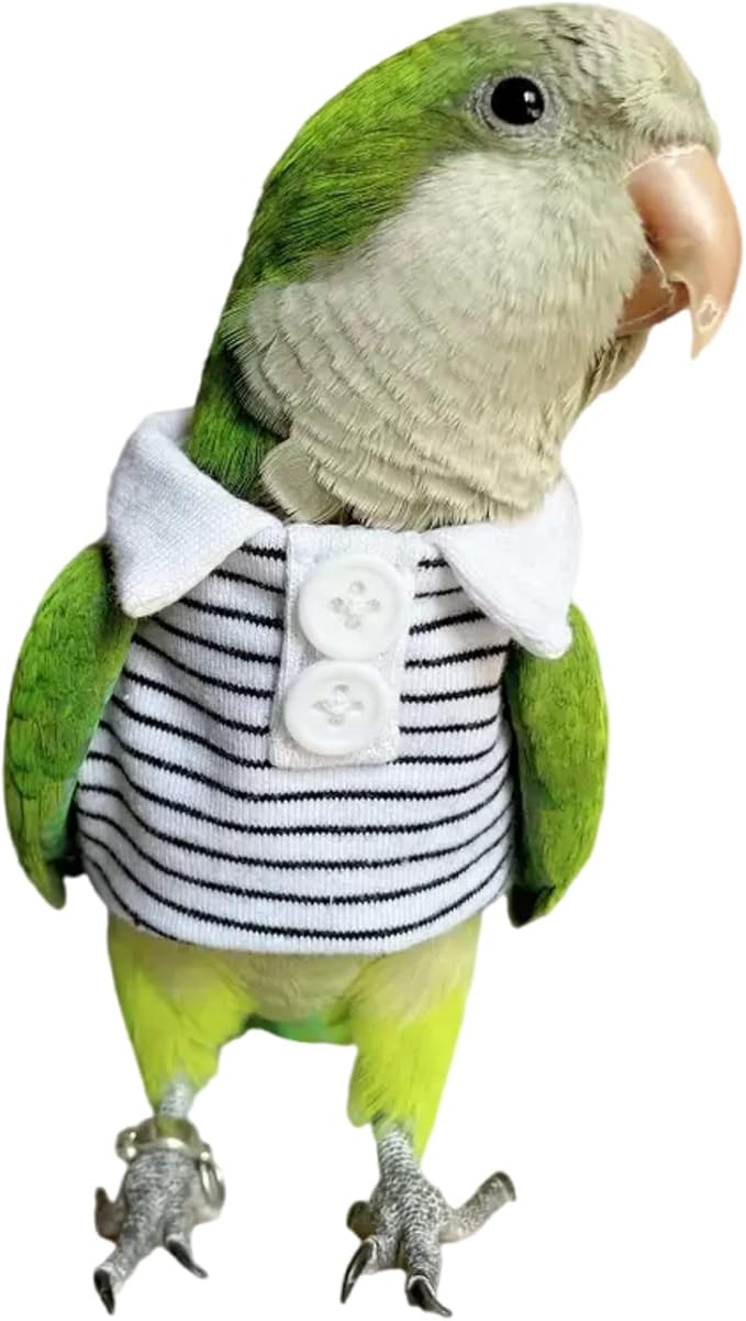 Bird Diaper Flight Suit for Parrots, Lovebirds, Parakeets & Cockatiels - Summer Clothes Cosplay Photo Prop - Green-cheeked Conure Size S (with Diaper)