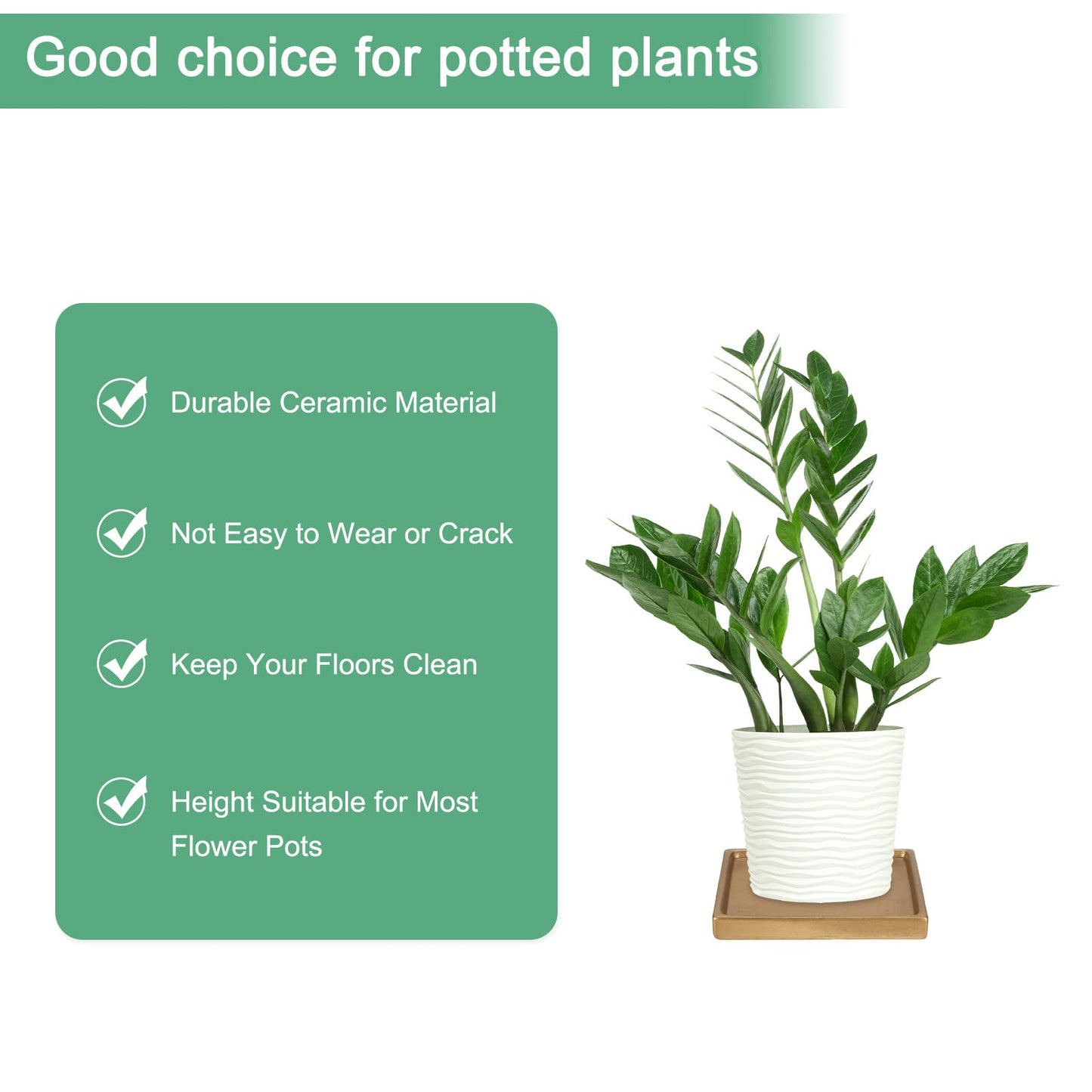 M METERXITY 2-Pack Ceramic Plant Saucer, 5 Inch Plant Water Catcher Tray, Plant Pot Saucers for Indoor/Outdoor Plants/Flower Drainage Drip Water Tray [Square Gold]