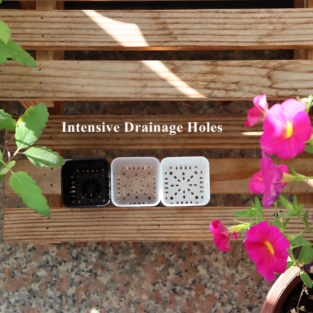 BangQiao 300 Pack 1.55 Inch Tiny White Plastic Square Nursery and Seedling Pot, Mini Transplant Seed Starter Planter with Drain Hole for Germination, Herb, Succulent