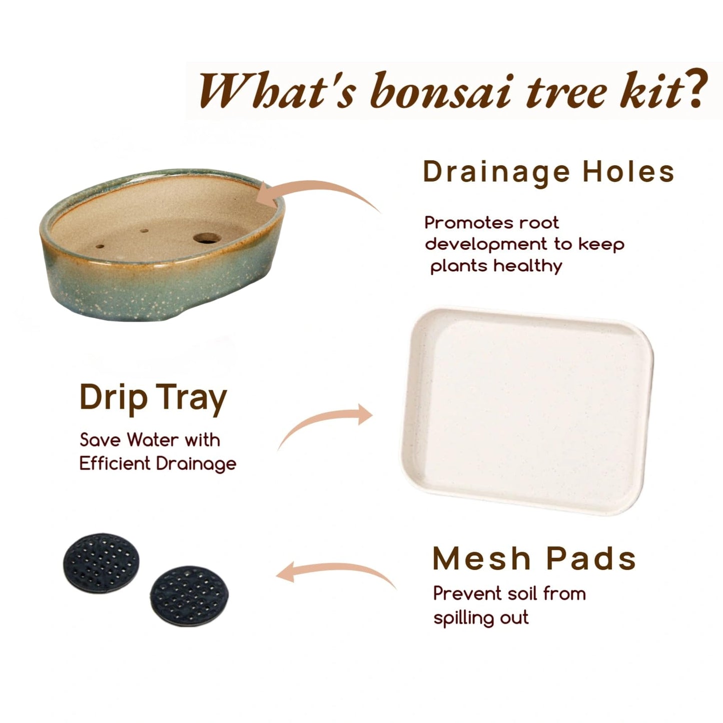 krayce Serenya 6.3 Inch Ceramic Bonsai Pots with Drainage Trays, 3 Pack Shallow Kiln Glazed Planters for Succulents & Bonsai, Indoor Outdoor Decor for Beginners